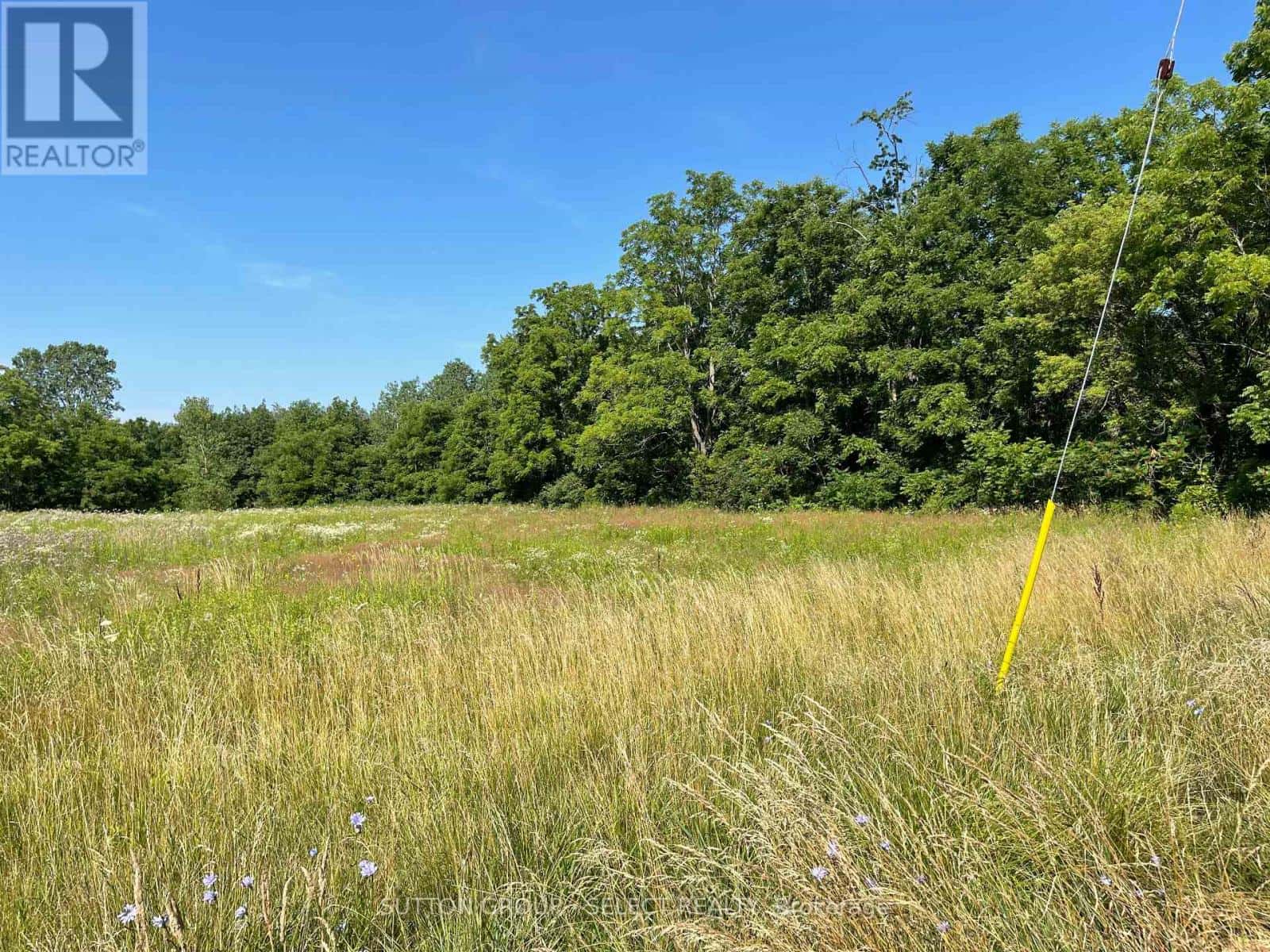 180 JANE STREET — West Elgin (Rodney), Ontario - Photo 2 of 4