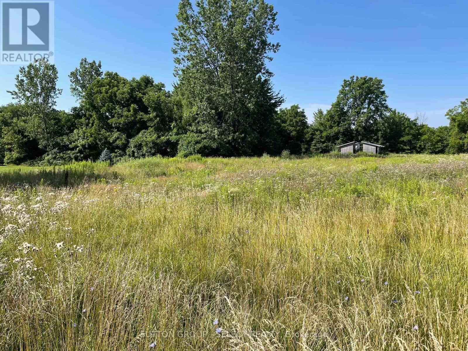 180 JANE STREET — West Elgin (Rodney), Ontario - Photo 3 of 4