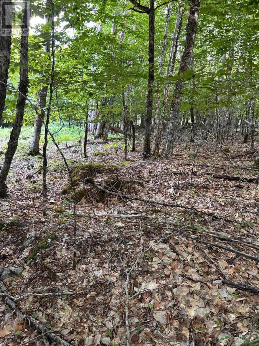 Lot 27 Maplesue Point Drive — Molega, Nova Scotia - Photo 4 of 8