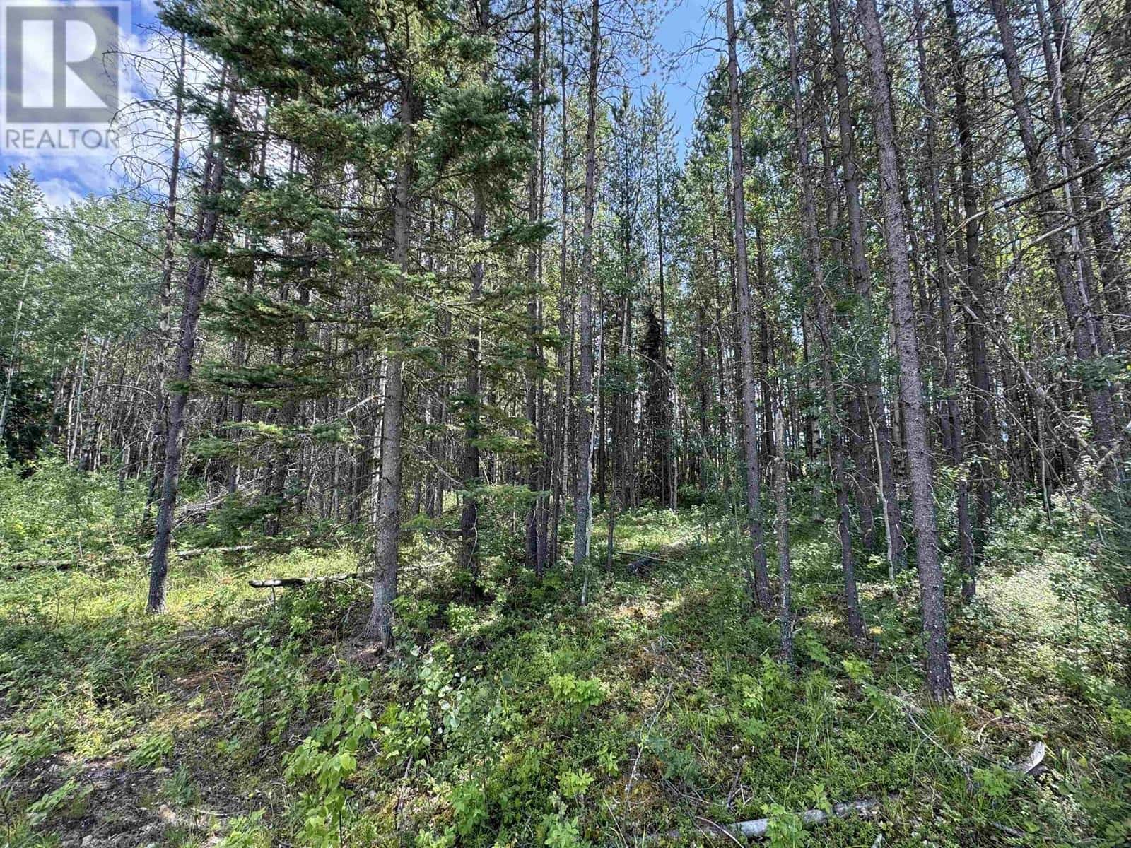 1075 18TH AVENUE — Valemount, British Columbia - Photo 5 of 7