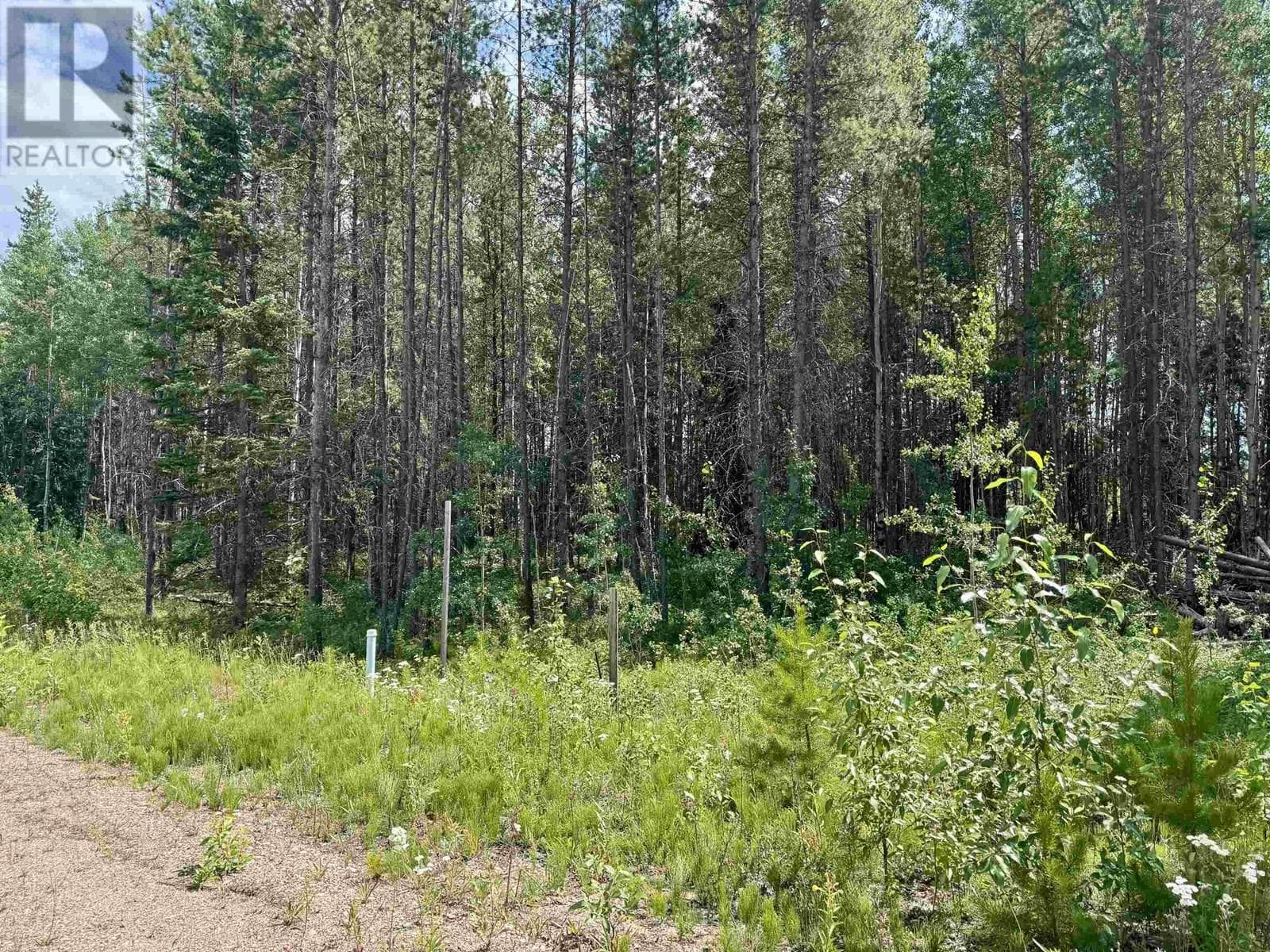 1075 18TH AVENUE — Valemount, British Columbia - Main photo