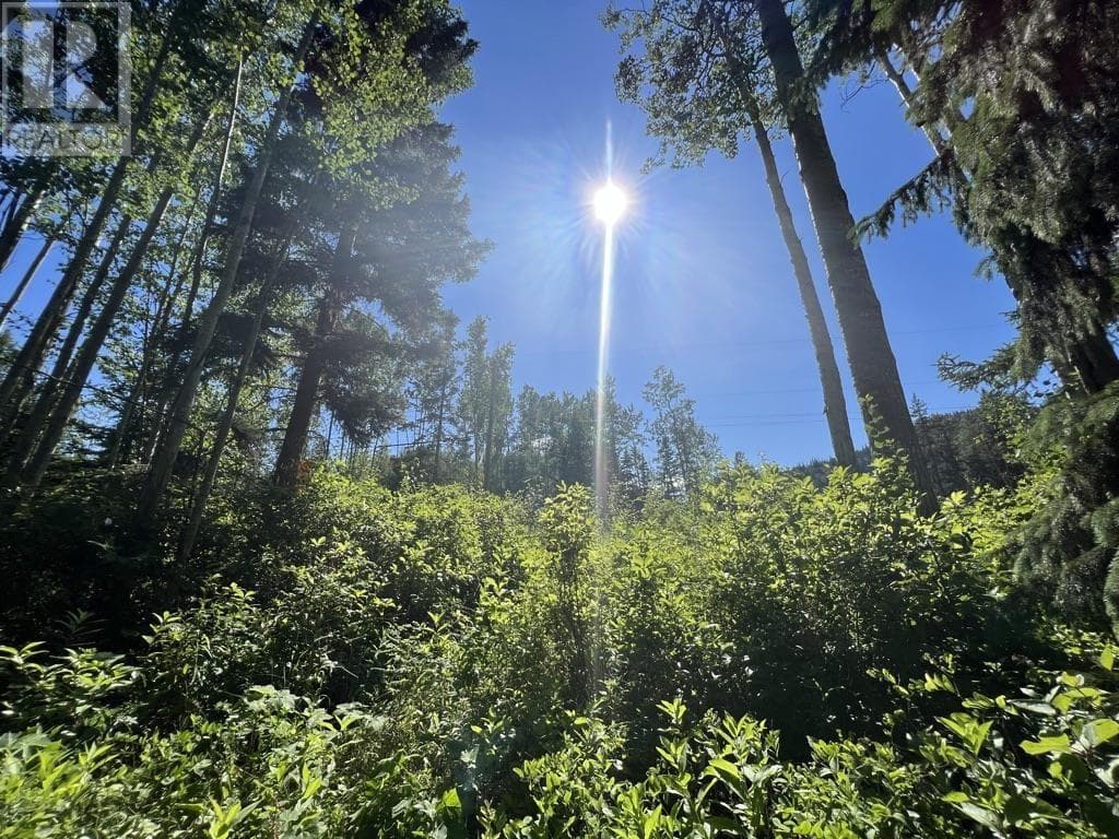 1 3000 DAHLIE ROAD — Smithers, British Columbia - Main photo