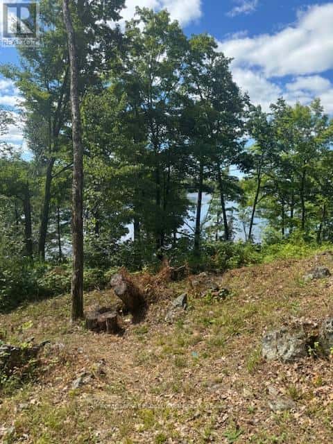 493 BUTTERMILK LANE N — Marmora and Lake (Marmora Ward), Ontario - Photo 2 of 31