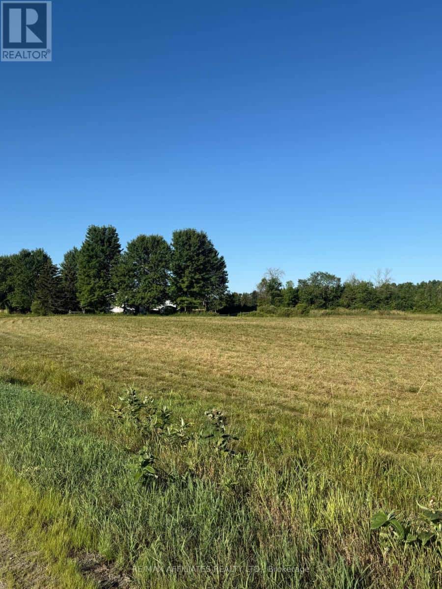 00 BRANCH ROAD — Augusta, Ontario - Photo 5 of 10