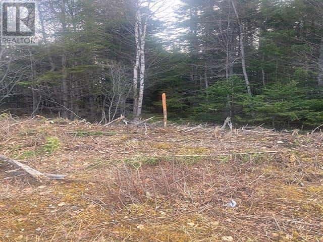 Salem Road — Enon, Nova Scotia - Photo 5 of 13