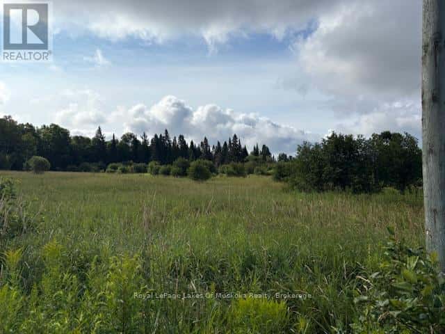 0 OLD MUSKOKA TO THE EAST SIDE OF #1105 ROAD — Huntsville (Stephenson), Ontario - Photo 2 of 6