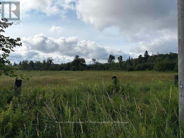 0 OLD MUSKOKA TO THE WEST SIDE OF #1105 ROAD — Huntsville (Stephenson), Ontario - Photo 5 of 8
