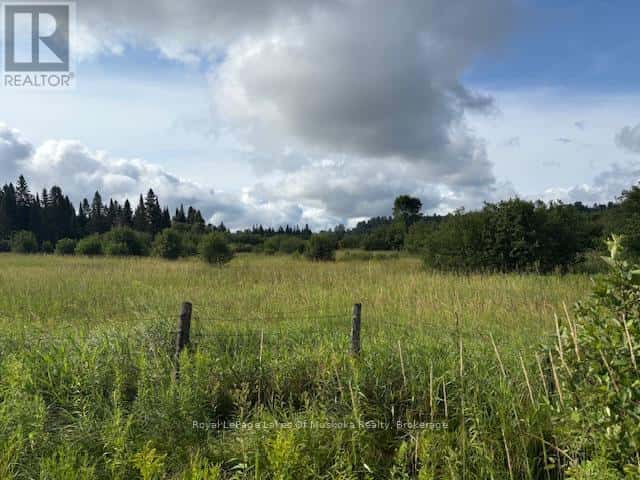 0 OLD MUSKOKA TO THE EAST SIDE OF #1105 ROAD — Huntsville (Stephenson), Ontario - Photo 5 of 6