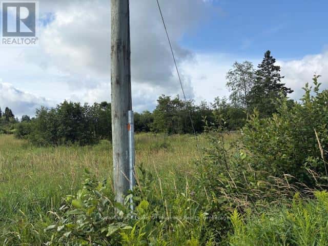 0 OLD MUSKOKA TO THE EAST SIDE OF #1105 ROAD — Huntsville (Stephenson), Ontario - Photo 3 of 6