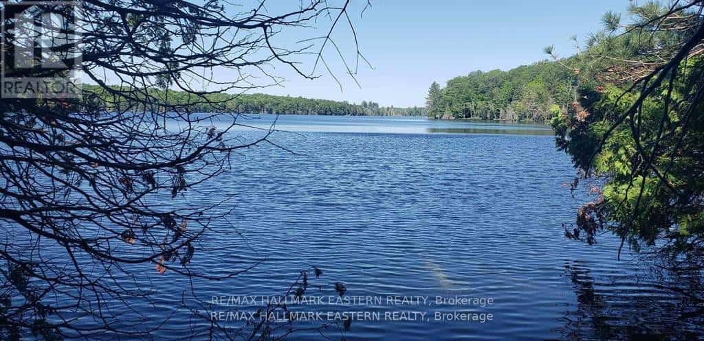 LT 161 THANET LAKE — Marmora and Lake (Lake Ward), Ontario - Photo 3 of 3
