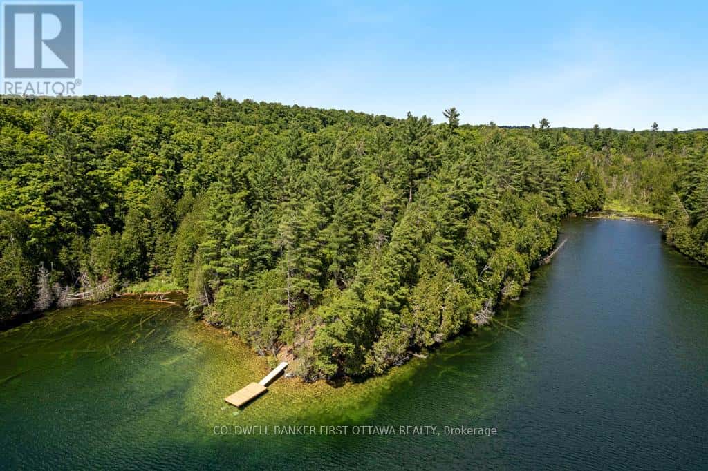 000 PALMERSTON LAKE — Frontenac (Frontenac North), Ontario - Photo 3 of 30