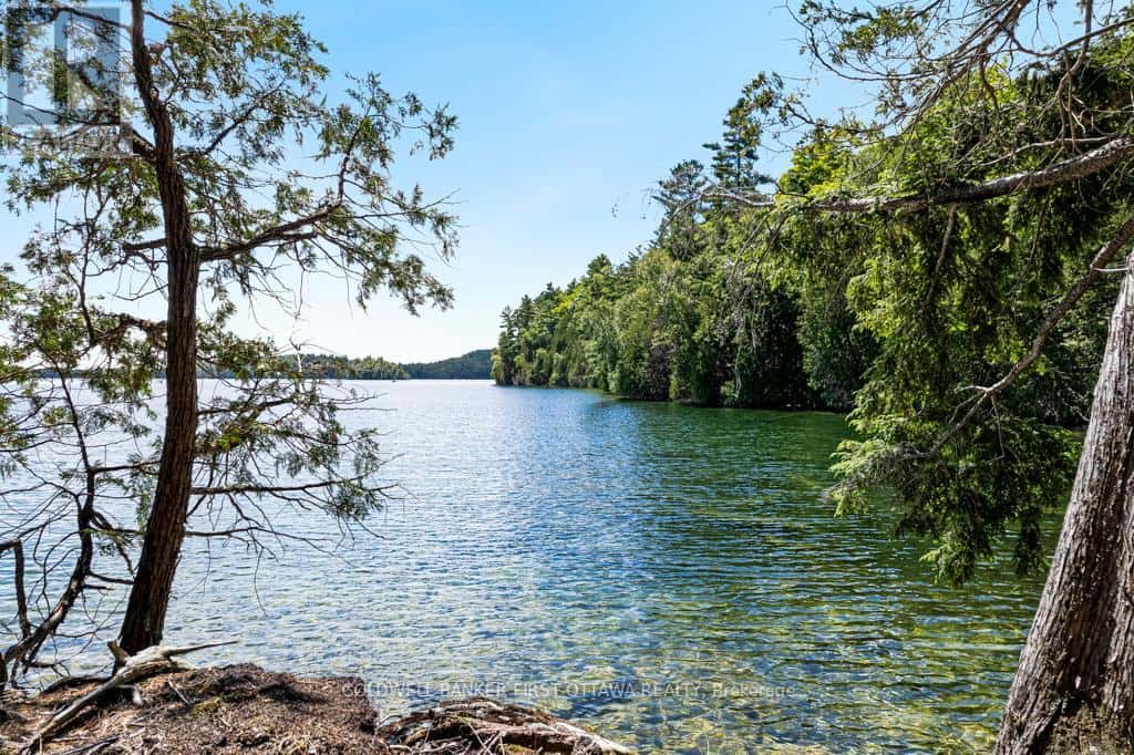 000 PALMERSTON LAKE — Frontenac (Frontenac North), Ontario - Photo 4 of 30
