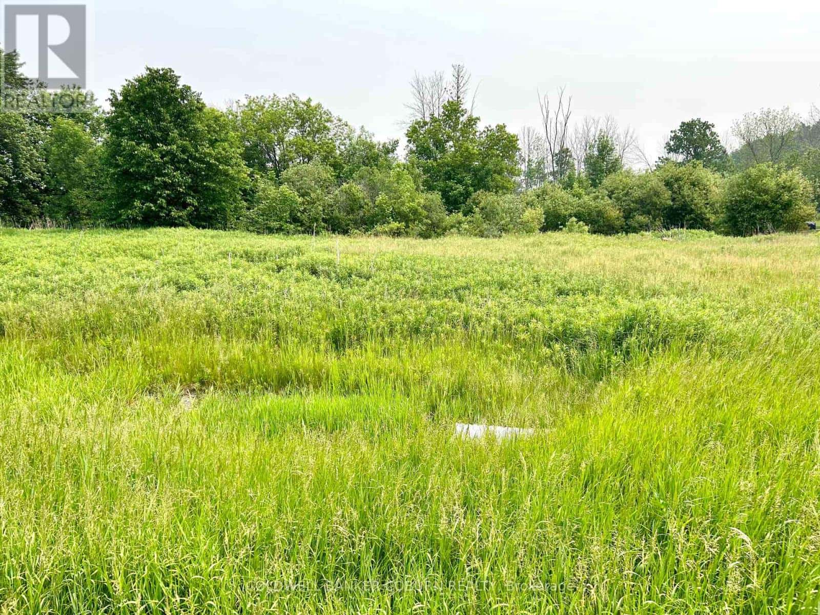 11880 COUNTY ROAD 18 ROAD — South Dundas, Ontario - Photo 4 of 4