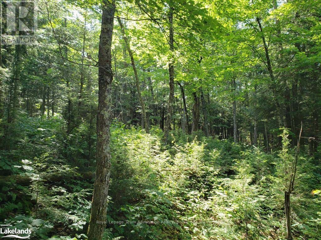 0 PART LOT 27 CONCESSION 1 — McKellar, Ontario - Photo 5 of 19