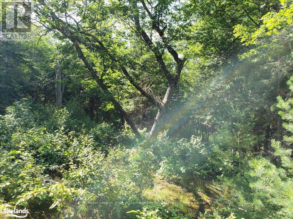 0 PART LOT 27 CONCESSION 1 — McKellar, Ontario - Photo 3 of 19