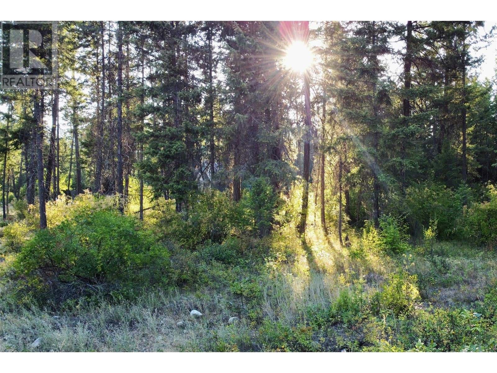 Caitlin Road Lot# 2 — Christina Lake, British Columbia - Photo 3 of 5