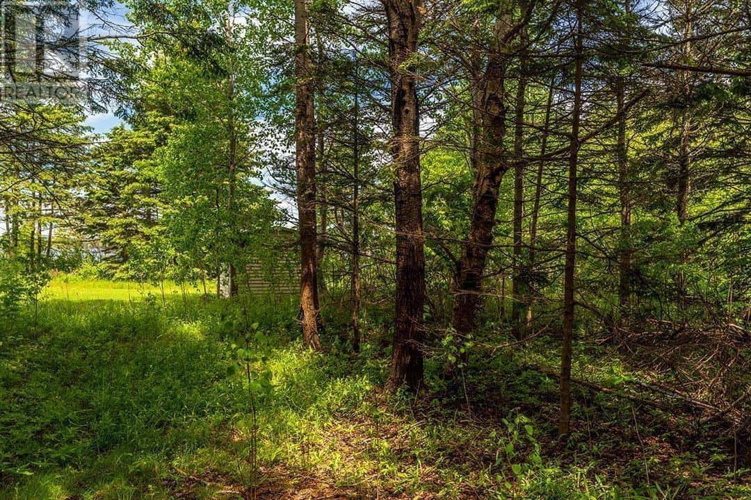 LOT 107 RIVERBANK Drive — Johnstons River, Prince Edward Island - Photo 4 of 6