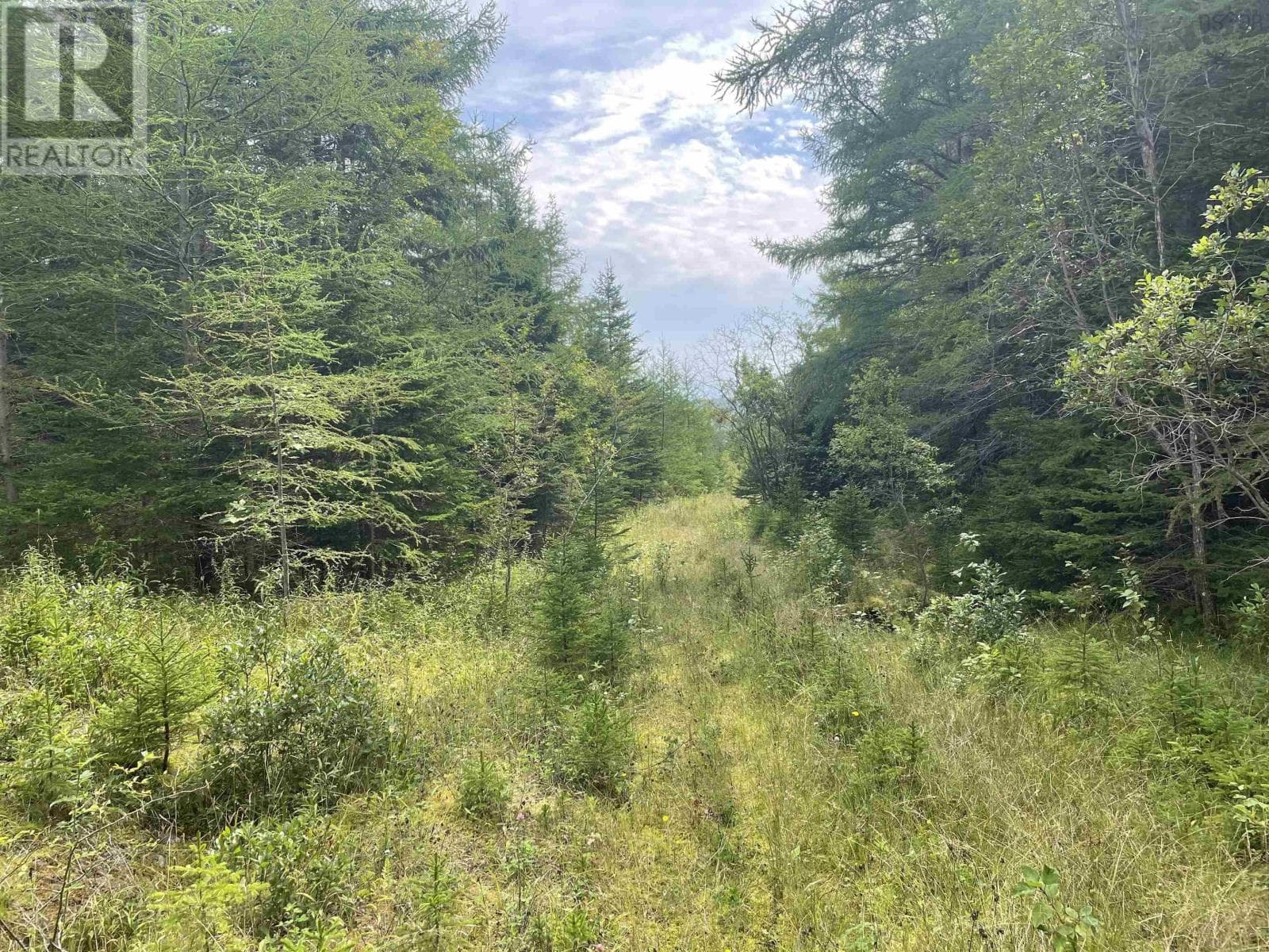 Highway 105 — Baddeck, Nova Scotia - Main photo