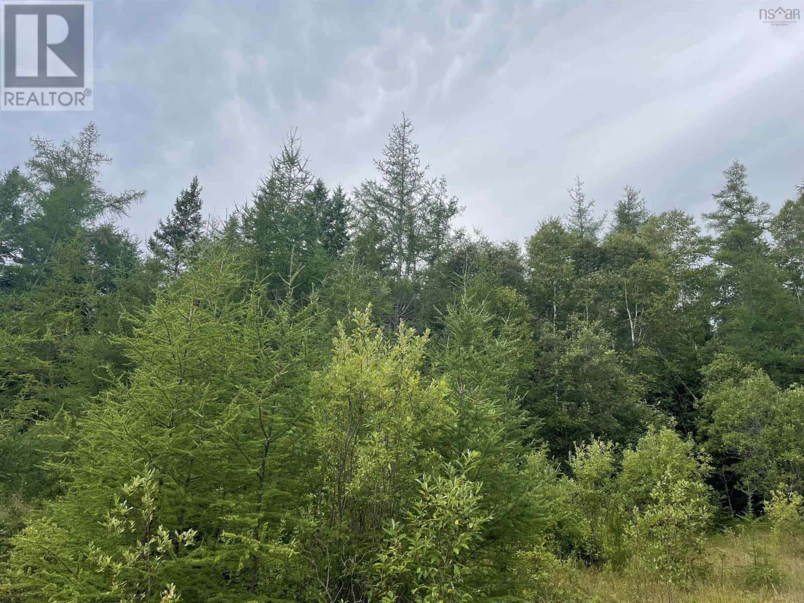 Highway 105 — Baddeck, Nova Scotia - Photo 5 of 13