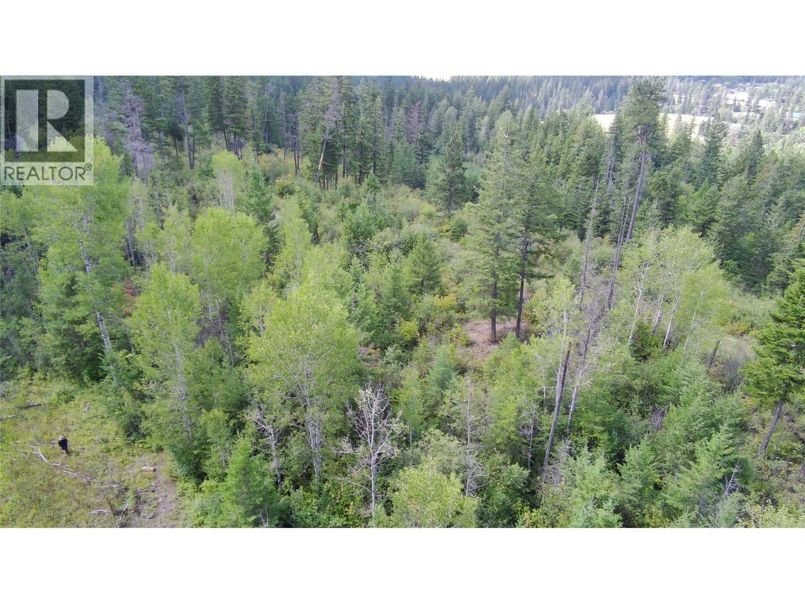 Pit Road Lot# 14 — Lister, British Columbia - Photo 4 of 63