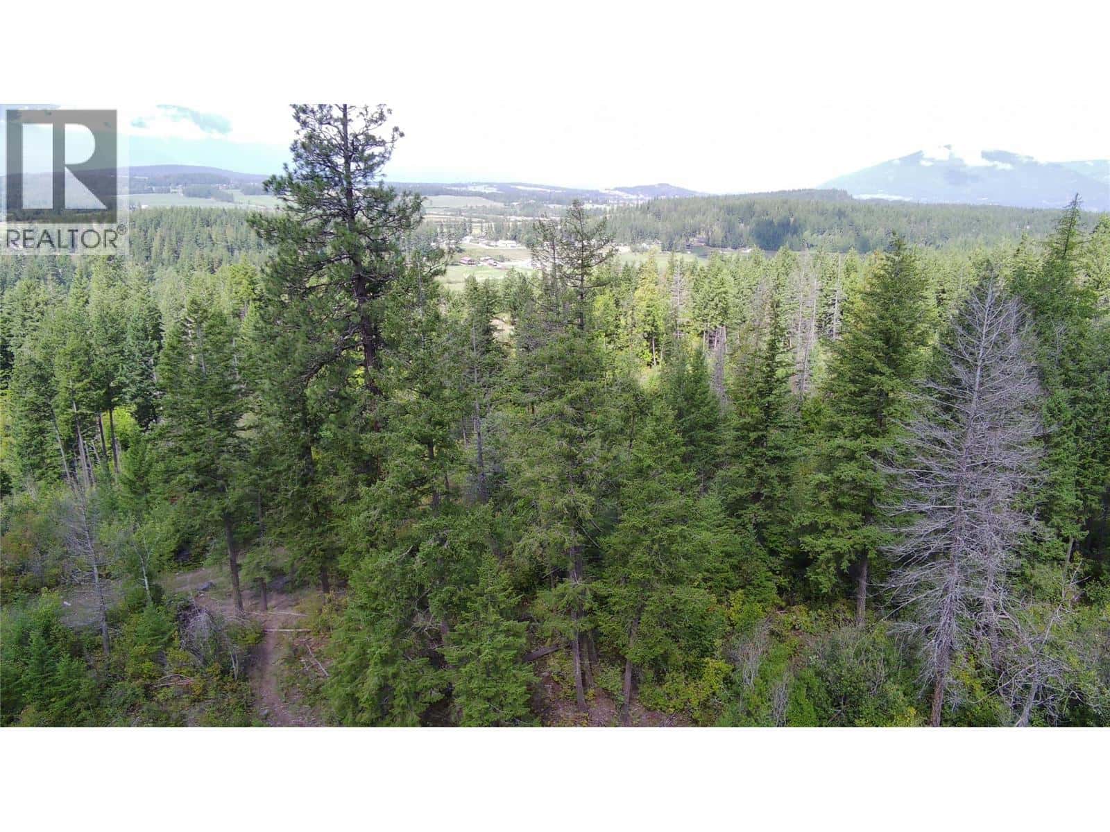 Pit Road Lot# 14 — Lister, British Columbia - Photo 3 of 63