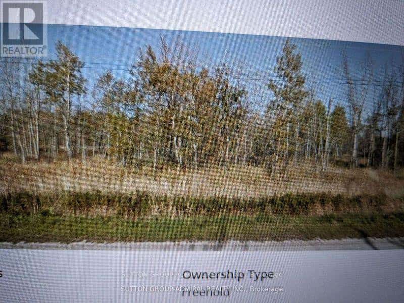 PT LT 170 ROAD 2 CONCESSION — Grey Highlands, Ontario - Photo 3 of 9