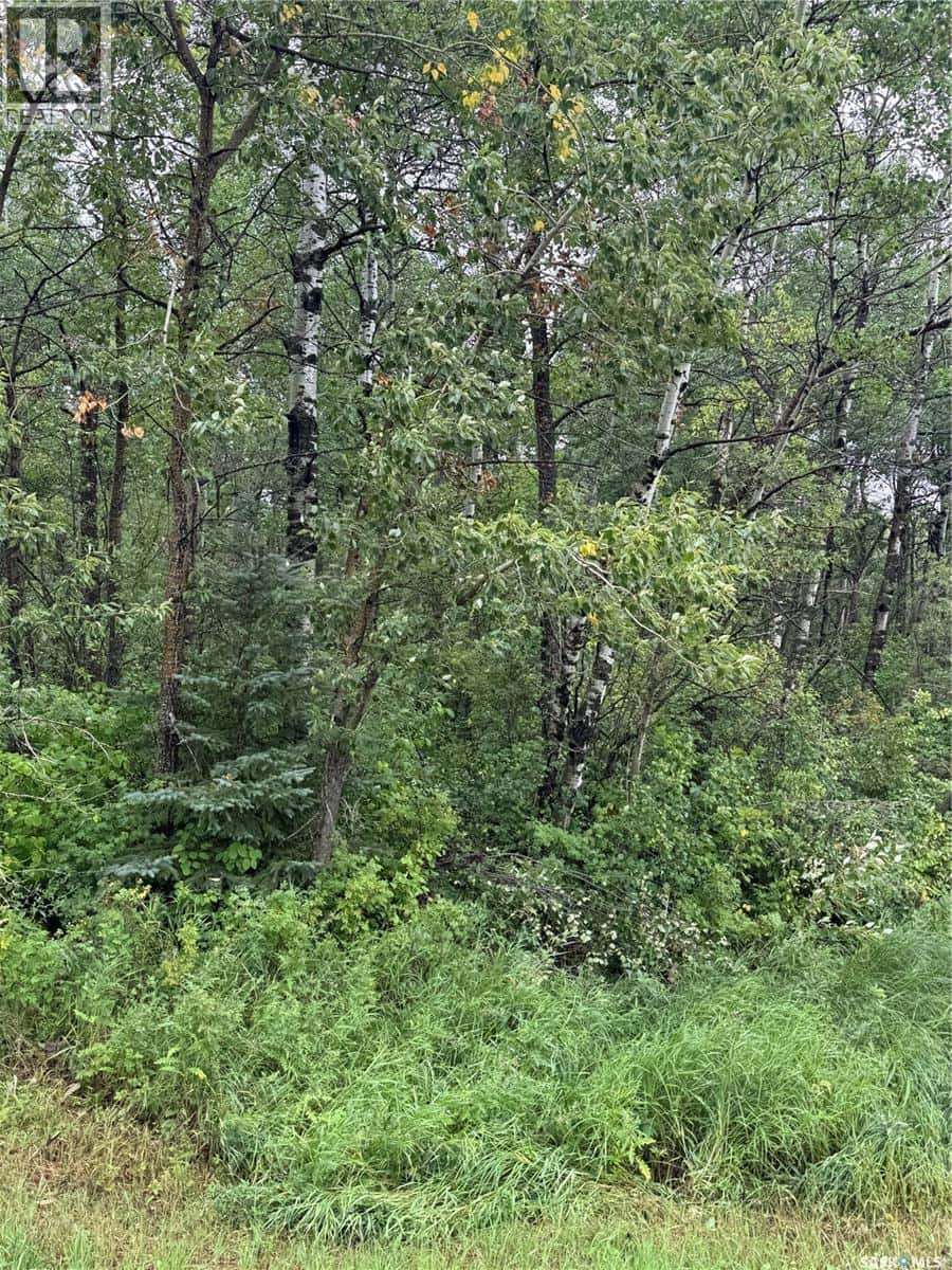 Kerlak Cabin retreat acres — Hudson Bay Rm No. 394, Saskatchewan - Photo 2 of 9