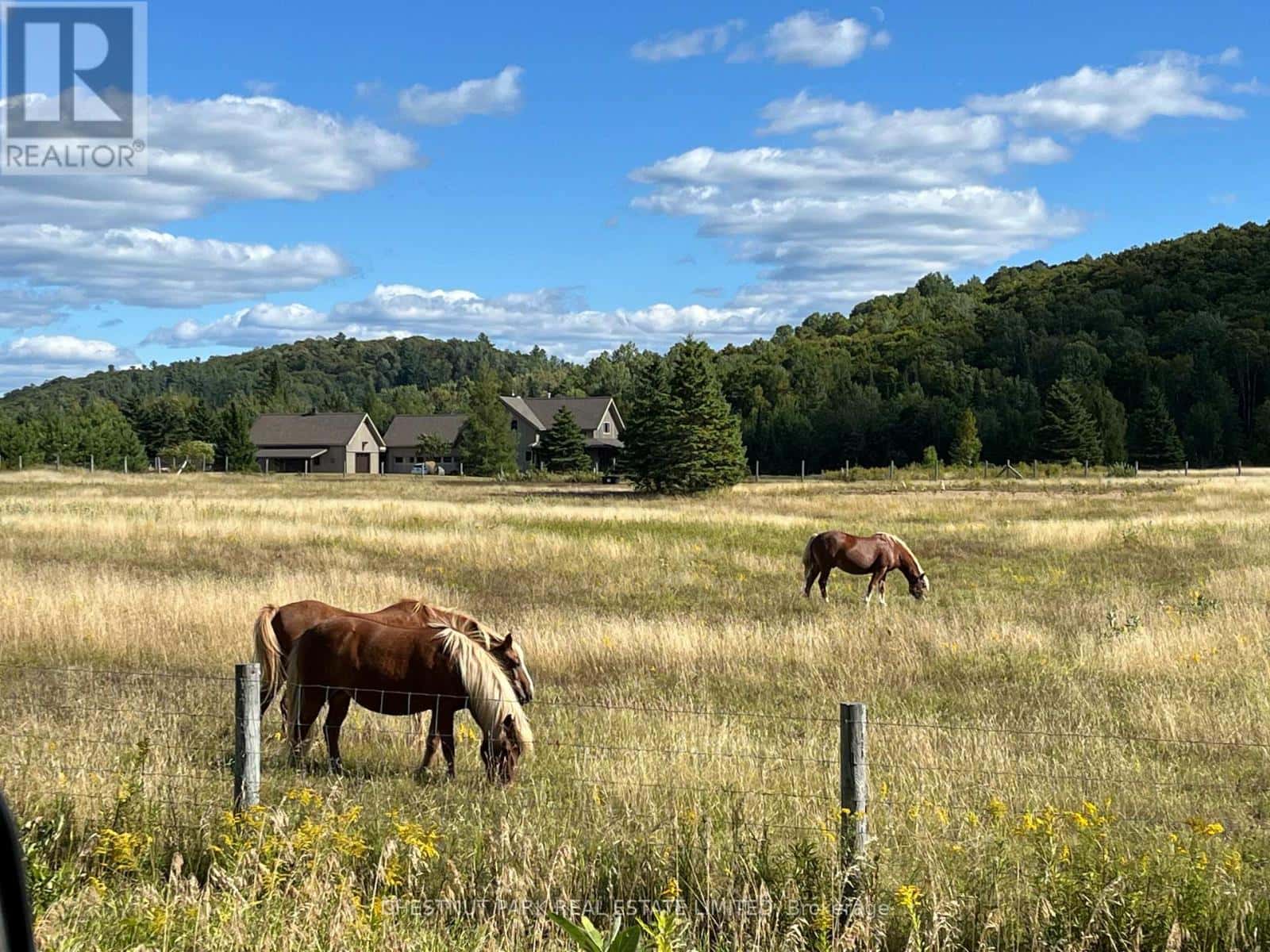 Bancroft (Dungannon Ward), Ontario — Bancroft (Dungannon Ward), Ontario - Photo 3 of 100