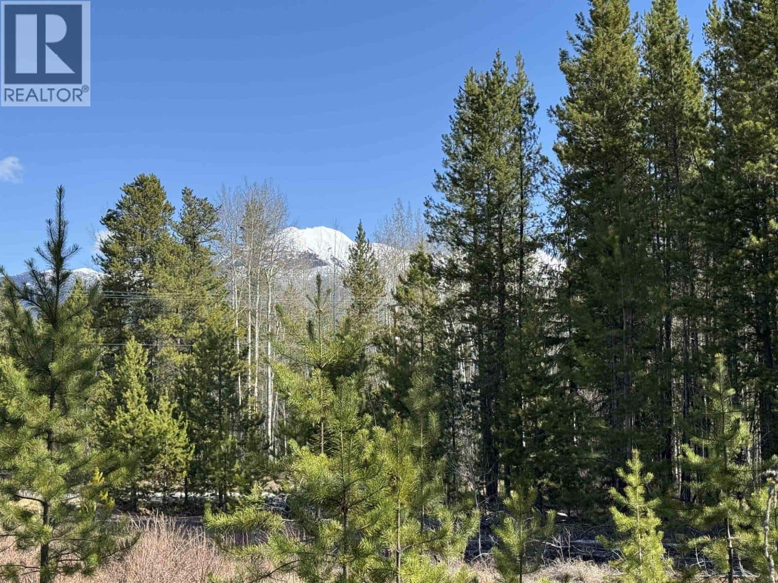 1030 18TH AVENUE — Valemount, British Columbia - Photo 4 of 7