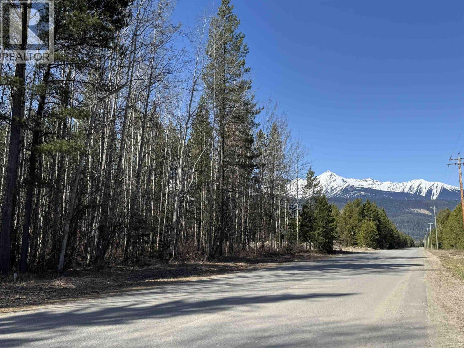 1030 18TH AVENUE — Valemount, British Columbia - Photo 2 of 7