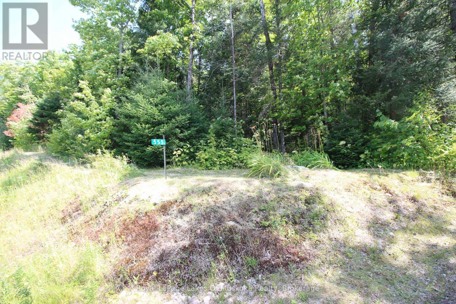 555 VALLEY VIEW ROAD — Strong, Ontario - Photo 3 of 39