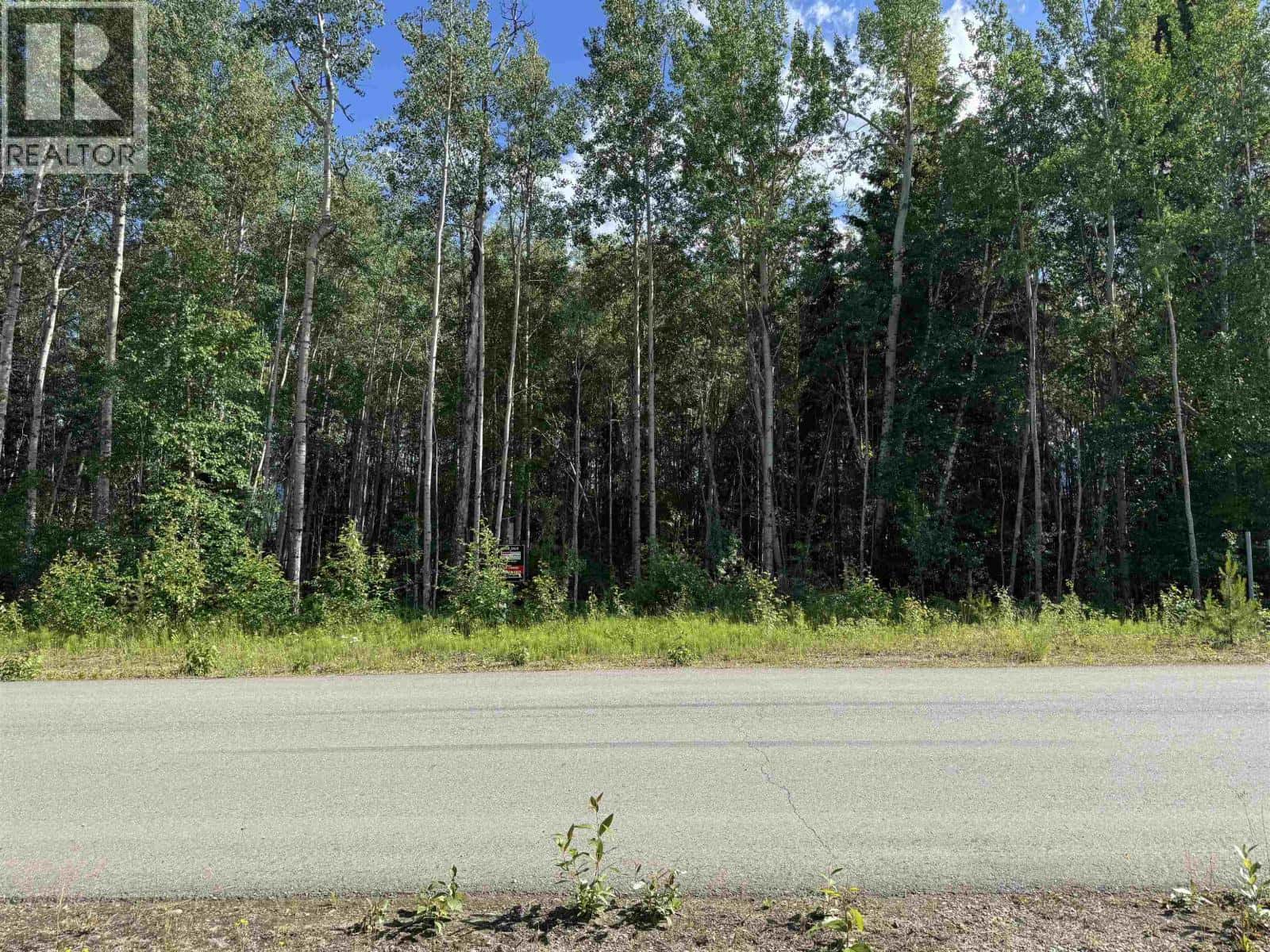 1015 18TH AVENUE — Valemount, British Columbia - Photo 3 of 6