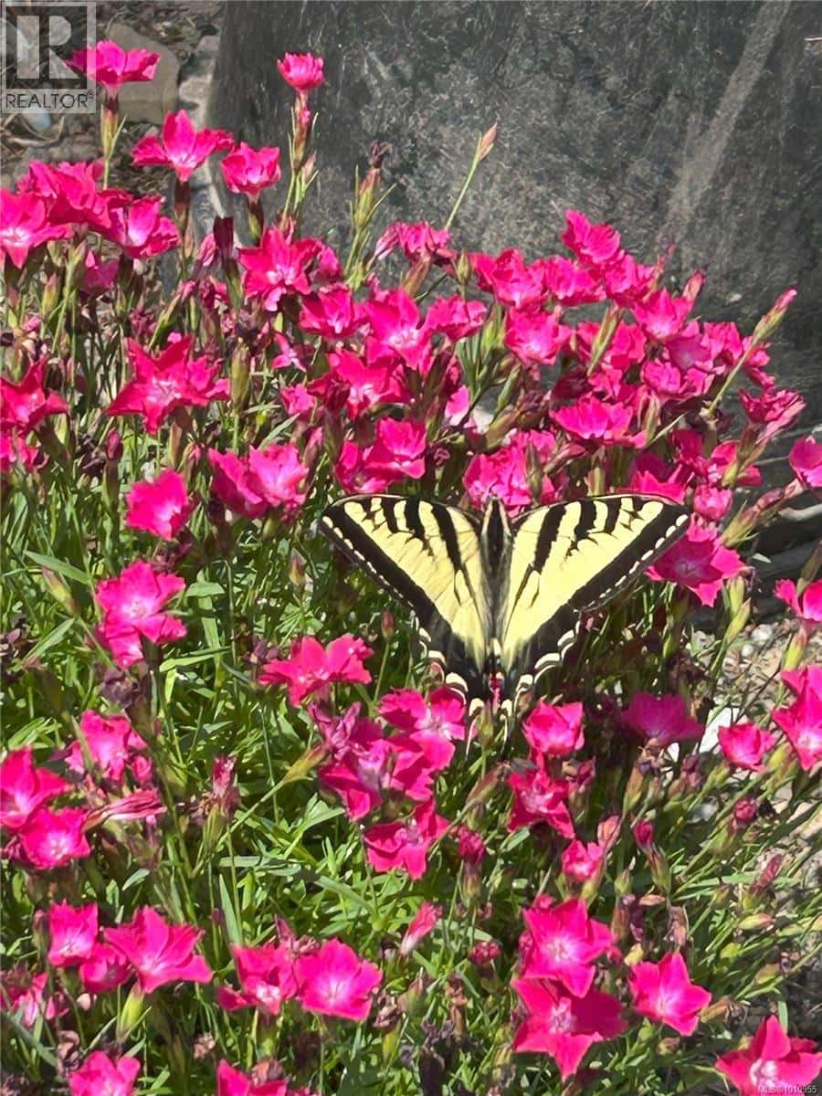 2703 Brigadoon Cres — Pender Island, British Columbia - Photo 4 of 63