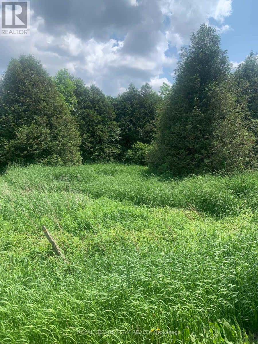 CON7PT2 BOLTON ROAD — North Grenville, Ontario - Photo 4 of 5