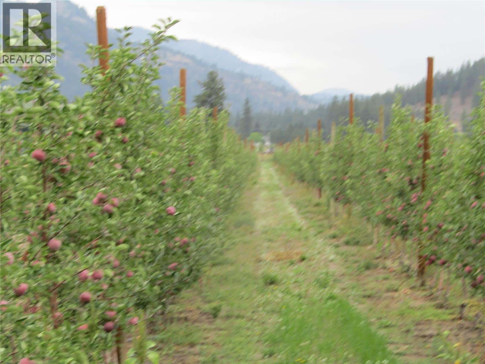 2705 75th Avenue — Grand Forks, British Columbia - Photo 5 of 79