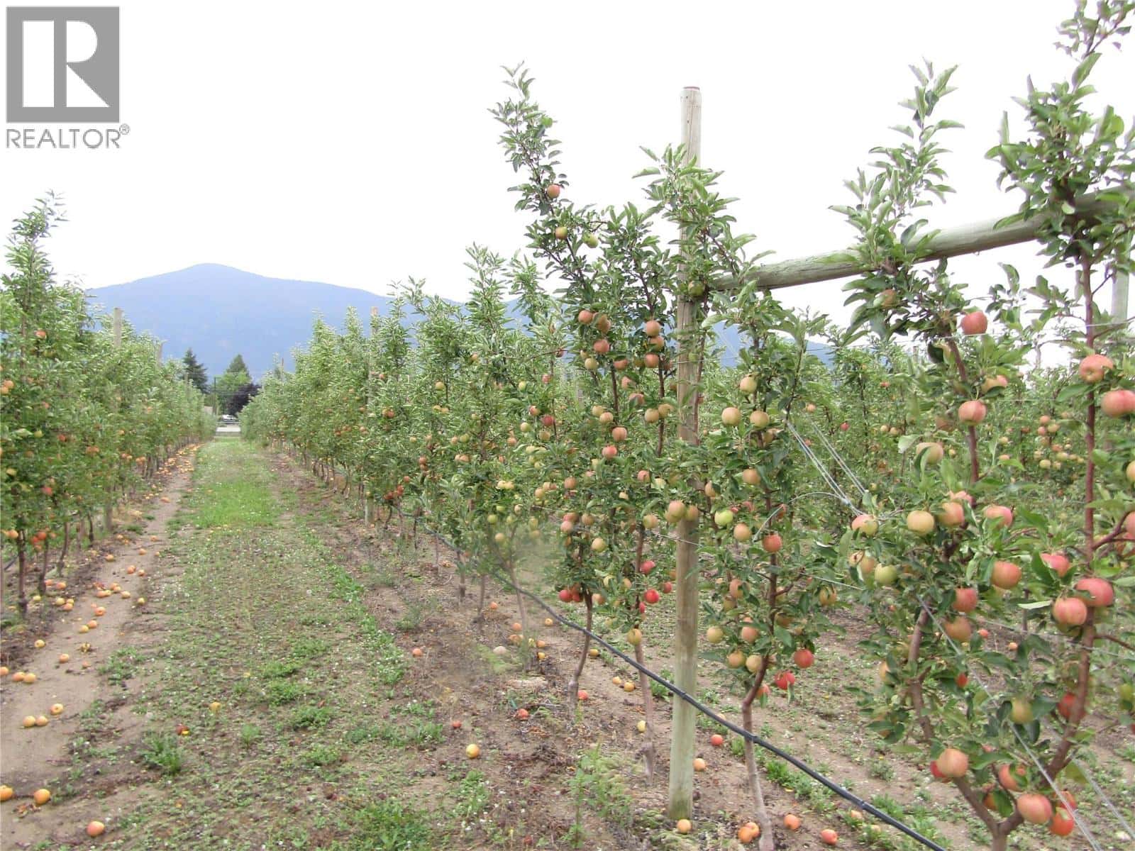 2705 75th Avenue — Grand Forks, British Columbia - Photo 4 of 79