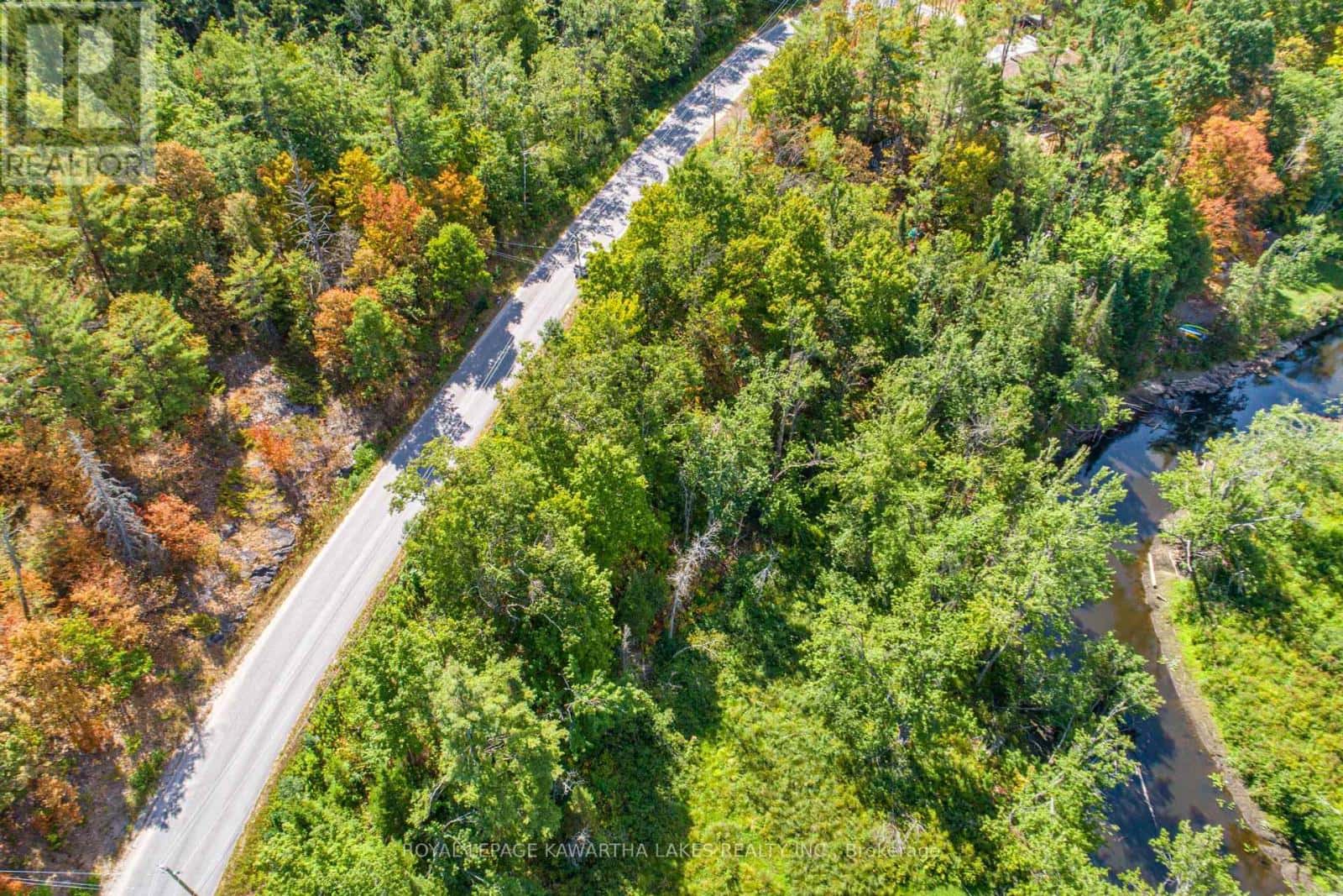 PT LOT 36 EDWINA DRIVE — Trent Lakes, Ontario - Photo 3 of 20