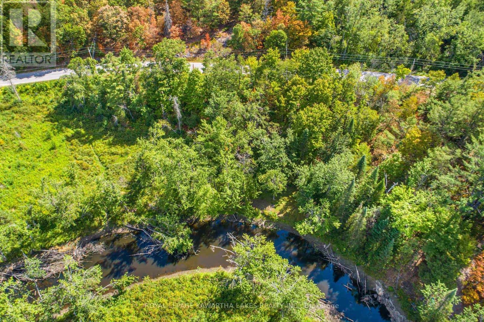 PT LOT 36 EDWINA DRIVE — Trent Lakes, Ontario - Photo 4 of 20