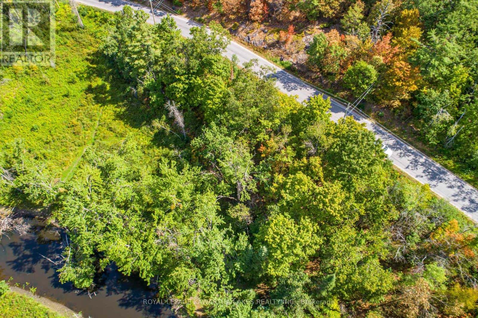 PT LOT 36 EDWINA DRIVE — Trent Lakes, Ontario - Photo 5 of 20