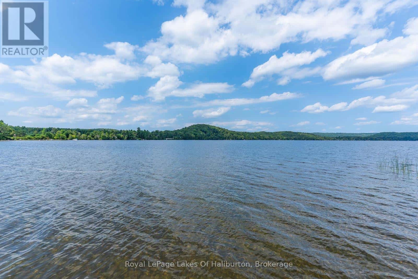 Algonquin Highlands (Stanhope), Ontario — Algonquin Highlands (Stanhope), Ontario - Photo 5 of 48