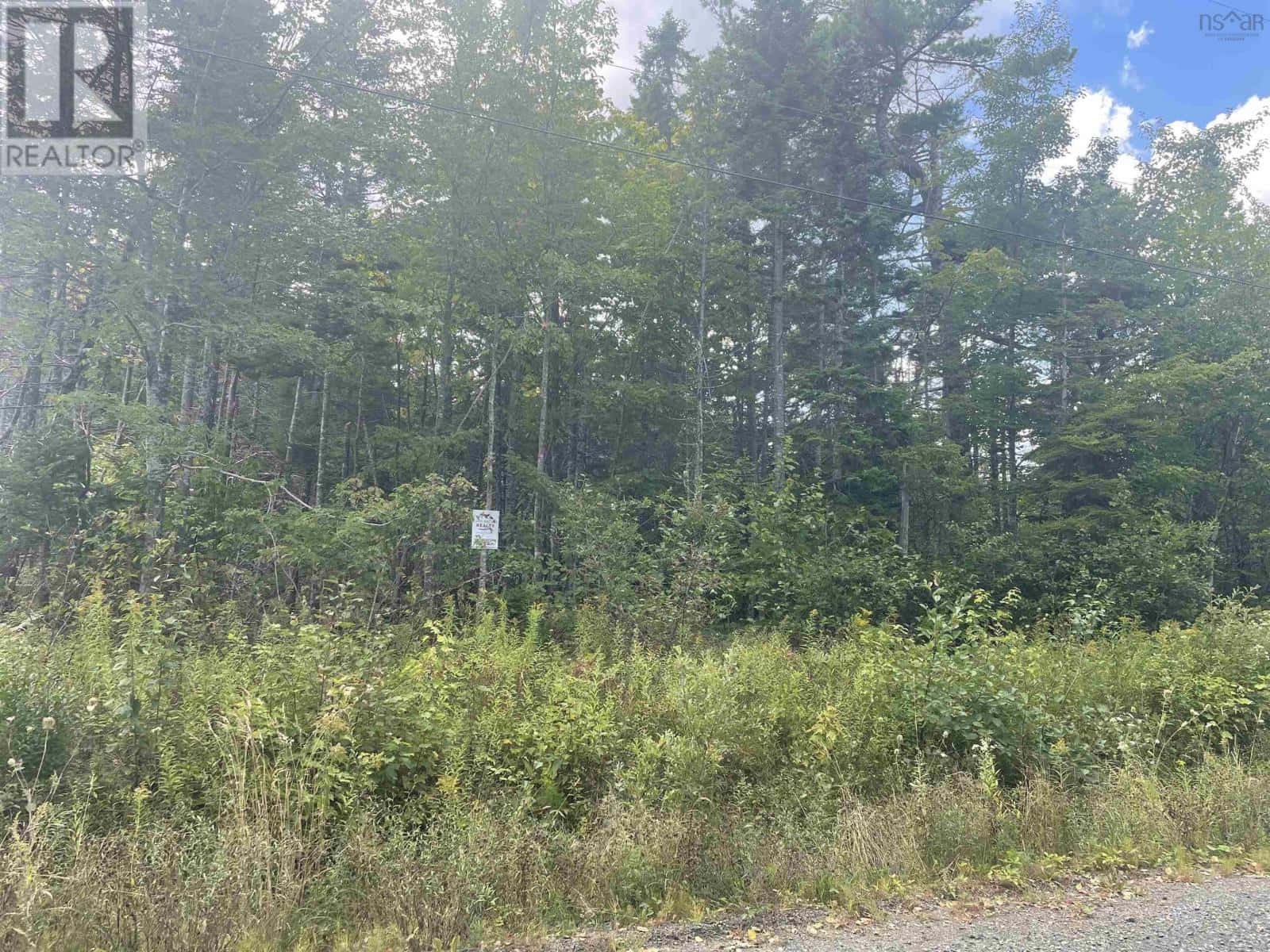 Militia Point Road — Inverness, Nova Scotia - Photo 4 of 6