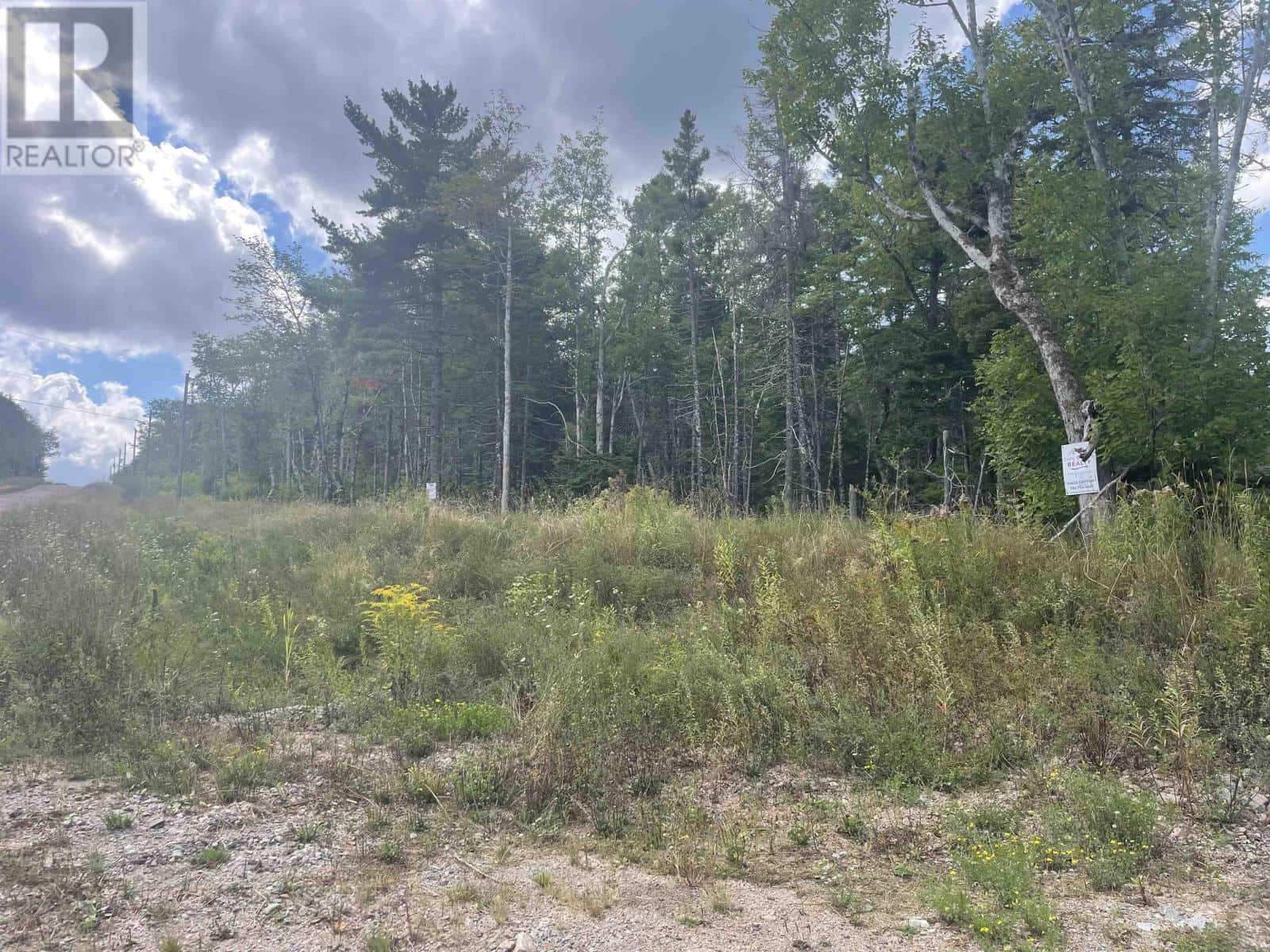 Militia Point Road — Inverness, Nova Scotia - Photo 5 of 6