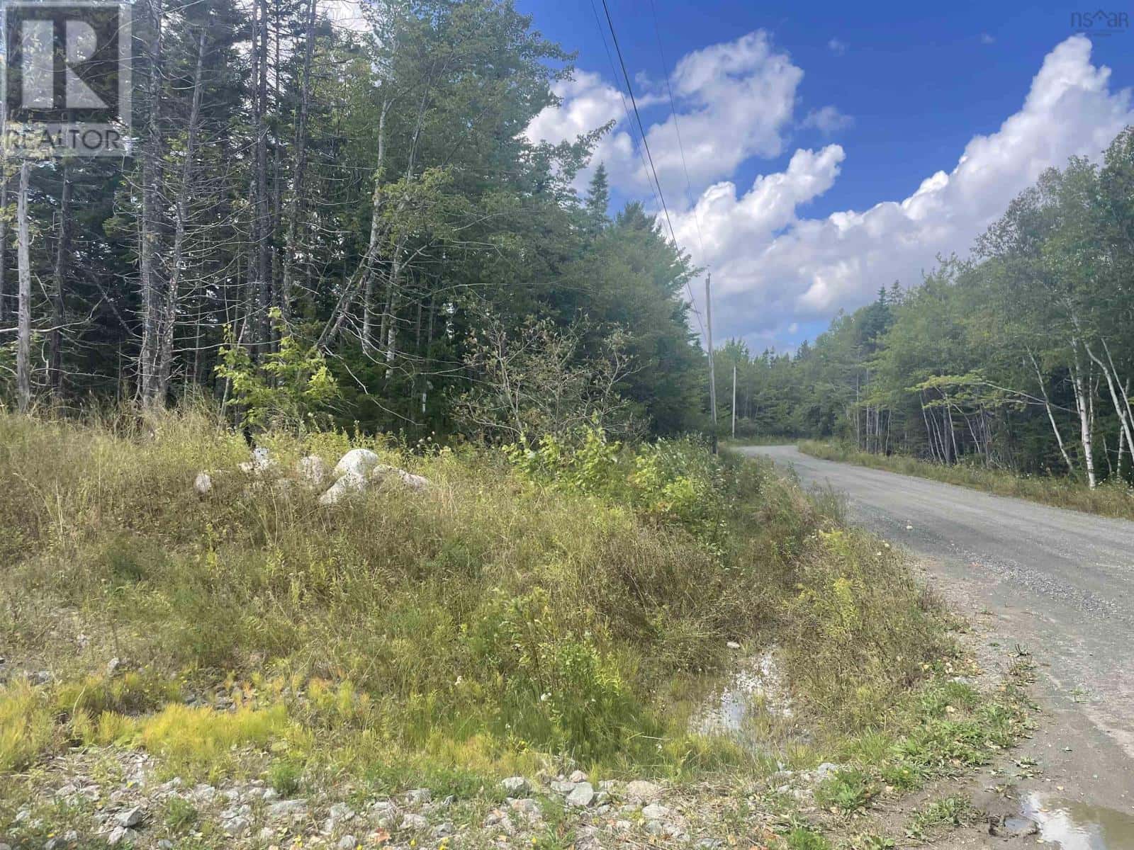 Militia Point Road — Inverness, Nova Scotia - Photo 3 of 6