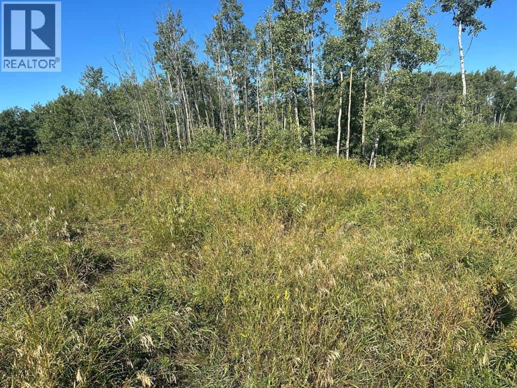 Juda Road — Rural Northern Sunrise County, Alberta - Photo 2 of 2