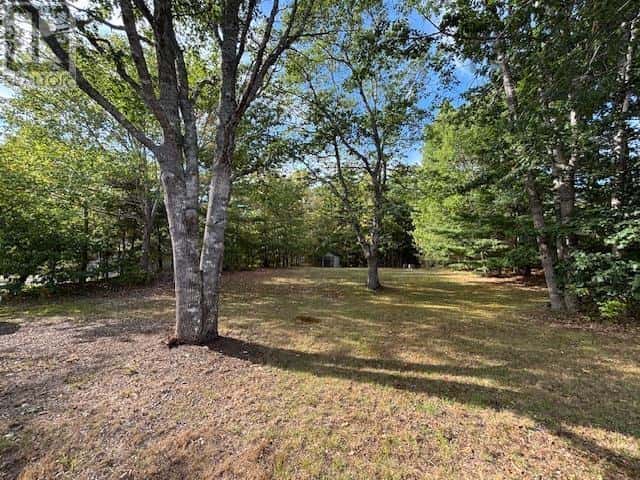 3196 Highway 325 — Wileville, Nova Scotia - Photo 4 of 38