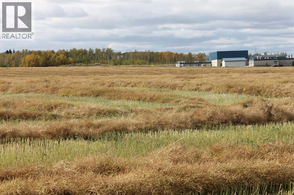 9300 101 Street — Sexsmith, Alberta - Photo 2 of 15