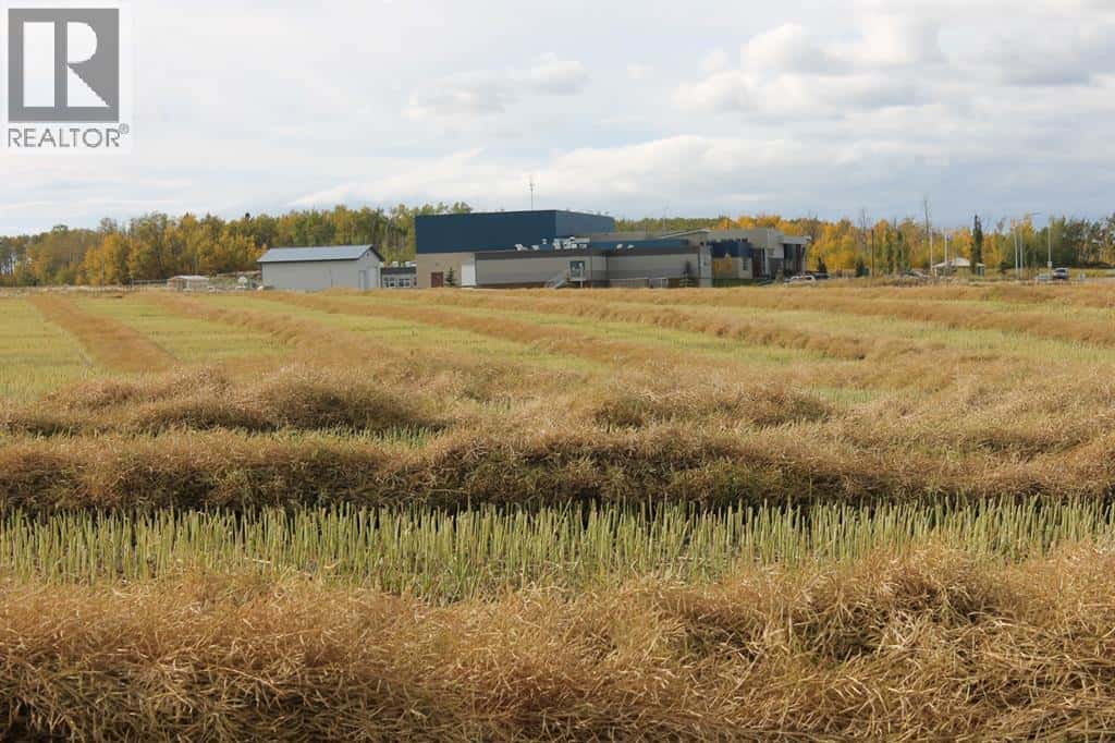 9300 101 Street — Sexsmith, Alberta - Photo 5 of 15