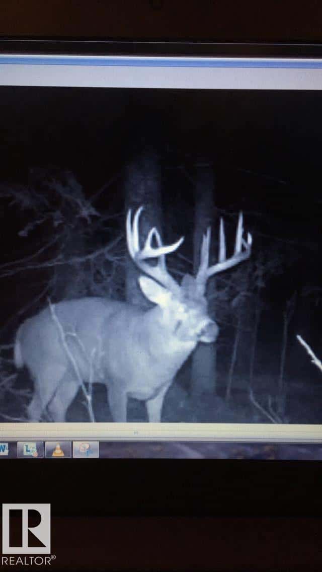 Rge Rd 261 Twp Rd 630 — Rural Westlock County, Alberta - Photo 5 of 10