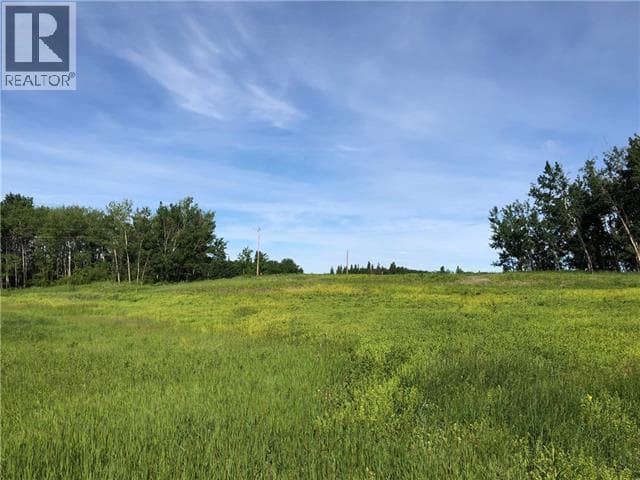 Lot 12 Campsite Road — Plamondon, Alberta - Main photo