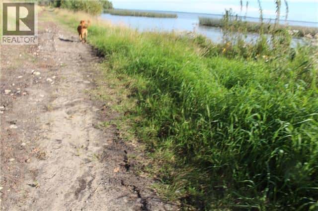 Lot 7 and 8 Campsite Road — Plamondon, Alberta - Photo 5 of 7